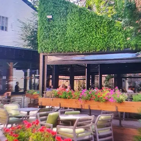 Grand Cozy Bukarest
